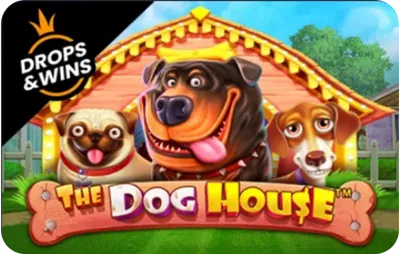 The Dog House